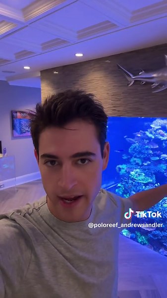 #stitch with @tom's reef aquarium our biggest fear! Luckily, we have multiple preventative measures to avoid the tragedy of a full tank spill out. #fishtank #homeaquarium #coralreeftank #contructionfails