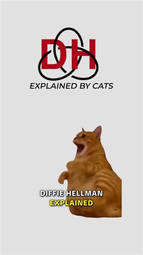 coding.kitty | Diffie Hellman, explained by cats. #cat #code #security #encryption #diffiehellman | Instagram