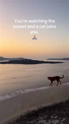 ✨One of the best 🌅 sunset spots in Santorini➡️ 📍Megalochori ⛪️ Presentation of the Virgin Mary Plaka @santorini @santorini @Santorini Greece @santorini.explore #greece #santorini #megalochori #heartofsantorini #sunset