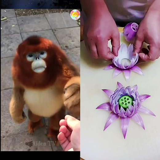 Artful Lotus Flower Preparation Techniques