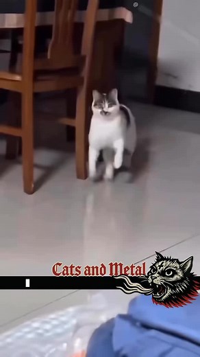 3.9K views · 391 reactions | Weeping angels are a creepy alien race...