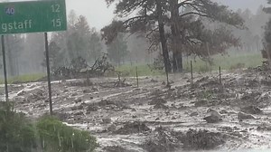 133K views · 3.6K reactions | Major debris flow north of Flagstaff, AZ from flash flood 2” of rainfall on the Pipeline Fire scar has closed Hwy 89. Doney Park getting hammered again. Debris flow crossed about 20 min ago. | Reed Timmer Extreme Meteorologist | Facebook