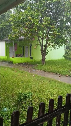 Soft Morning Rain Ambience for Deep Relaxation and Focus #rain #rainoundforsleep