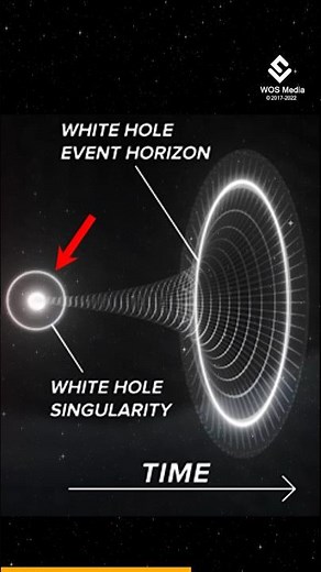 How White Holes Are Different From Black Holes?