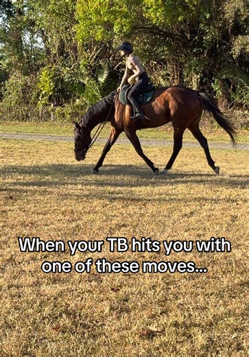 Understanding Horse Rein Techniques in Equestrian Sports