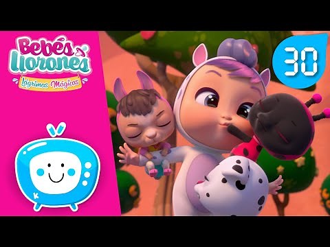 🤣 MUCHAS RISAS 🤣 BEBÉS LLORONES 💧 LÁGRIMAS MÁGICAS 💕 DIBUJOS ANIMADOS para NIÑOS en ESPAÑOL