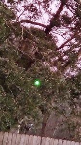 342K views · 38 reactions | More New Footage Out SC? A woman spotted...