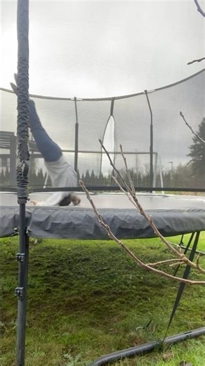 Form 🚮#felgrolle#viralvideo