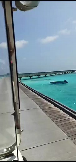 ZEDOW on TikTok