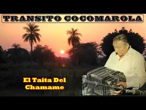 👉 TRANSITO COCOMAROLA 👉 "EL TAITA DEL CHAMAME" 👉 CLASICOS DE SIEMPRE 👉