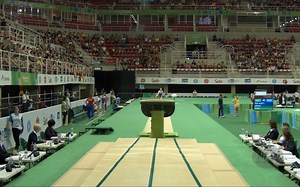 DTY跳马姿态扣分点的教科书，你猜能打多少分