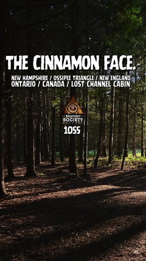 A New Hampshire hunter follows 17-inch tracks across remote bogs… and they stop in the middle of nowhere. In Ontario, a return guest describes rocks thrown near camp, shoreline chatter in the dark, and something standing beside a cabin bed. Two updates. Two regions. The activity hasn’t stopped. 🎙️ Bigfoot Society Episode 1055 Listen now. Listen here on Bigfoot Society: https://pod.link/1453429066 Watch here: https://www.youtube.com/@BigfootSociety #bigfoot #publishtoall