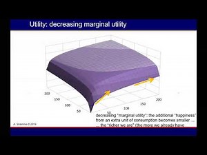 3. Optimal Consumption and Investment Decisions, Fisher Separation, and Breakdown of Separation