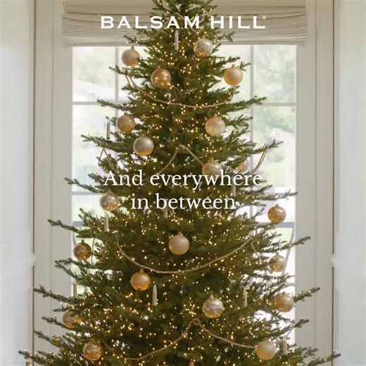 45K views · 84 reactions | Small spaces, big magic. Explore our wide selection of trees, plus a variety of lighting options so you can get festive your way. | Balsam Hill | Facebook
