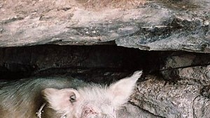 Schätze der Welt: Bandiagara, Mali, Folge 75