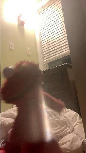 elmo world hair quiz