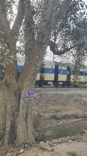 gaya patna #passenger