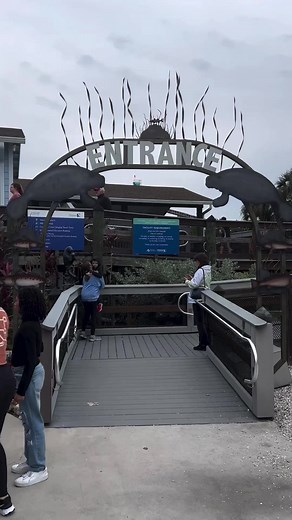1K views · 13 reactions | MANATEE VIEWING CENTER | FREE | APOLLO BEACH, FL #manatee #ManateeViewingCenter #manatees #Florida #floridawildlife | Florida Springs Passport | Facebook