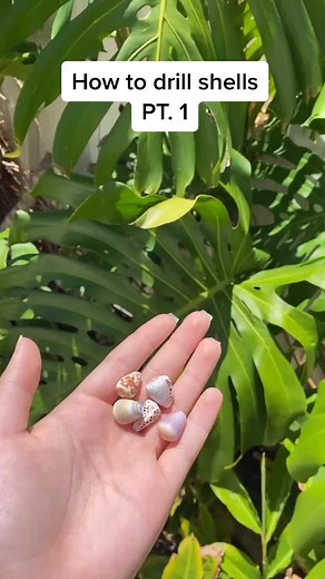 Drilling Shells: A Step-by-Step Guide for Jewelry Making