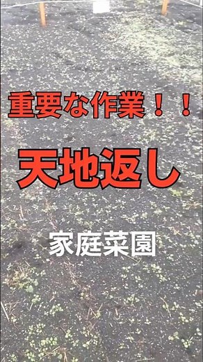 【家庭菜園】定植前に！必ずしよう天地返し