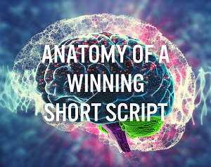 Anatomy of a Contest Winning Short Script