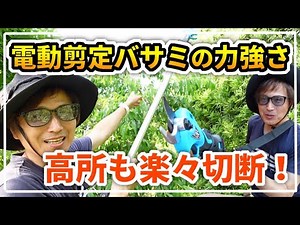 Swansoft社製の【電動剪定バサミ】が高品質だと言う事で使ってみた