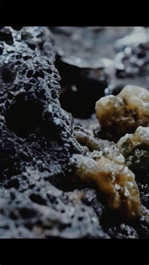 Prometheus trailer #prometheus #movie #trailer #alien #xenomorph #shorts