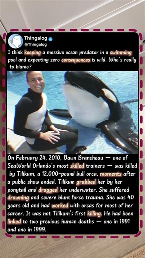 The Dark Story Of The World’s Most DANGEROUS Orca! 🐋 #History #Wildlife #Ocean