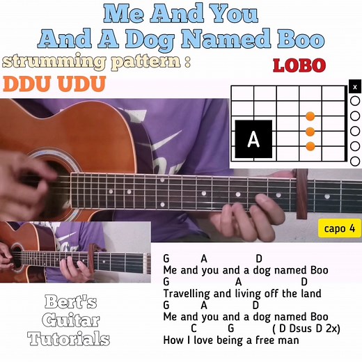 46K views · 2.4K reactions | Me And You And A Dog Named Boo - LOBO guitar chords w/ lyrics & strumming tutorial | Bert's Guitar Tutorials | Facebook