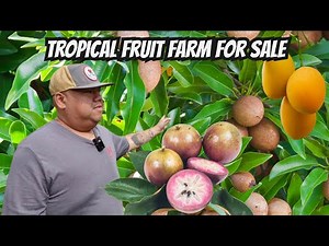 Touring a Rare Tropical Fruit Farm for Sale in Florida