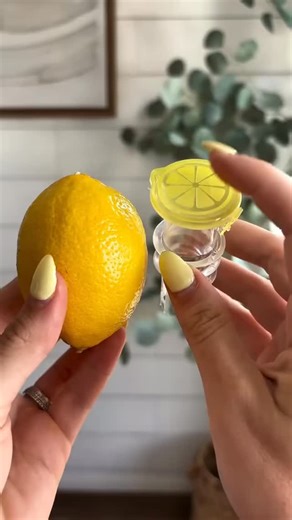 Kitch & Cozy | 🍋 Lemon Cyclone Crusher! Squeeze Without Strain ▫️ Lever-action efficiency ▫️ 304 stainless steel spikes ▫️ Dual-layer seed filter Cut... | Instagram