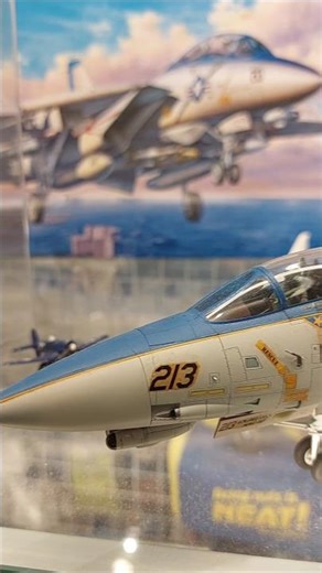 #tamiya #f14 #f14tomcat #f14d #vf213 #vf213blacklions #tamiyahongkong #cantstopwontstop #ModelKit