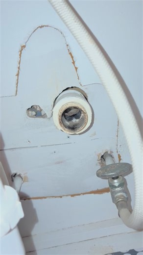 Michelle Lee on Reels