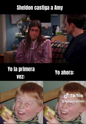 The Big Bang Theory: Exploring Sheldon and Amy's Journey