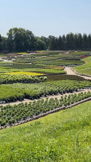 Gerten Grown - naturally!❤ | Gertens