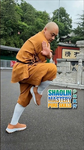 Shaolin Kung Fu ☯️ Precision Forged by Tradition (少林功夫)