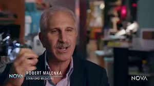 Learn how biological feedback mechanisms contribute to people’s susceptibility to opioid addiction and other substance use disorders in this video from NOVA "Addiction." https://bit.ly/2kQ8w9a | NOVA Education