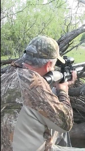Feral hog hunt with air rifle