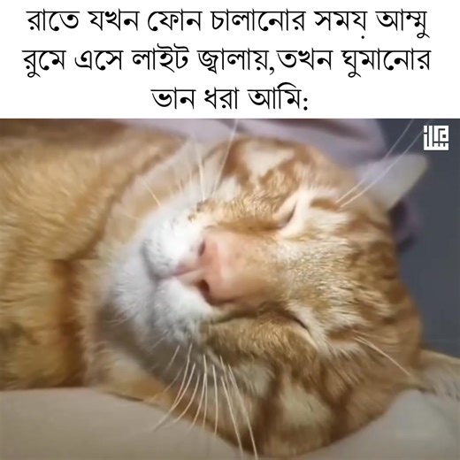 191K views · 3.6K reactions | Skill issue | Memes Reporter | Facebook