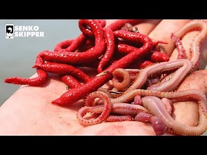 SAVE YOUR MONEY! Artificial Gulp Worms VS LIVE Bloodworms