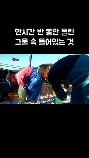 홍어부터 갈치까지 다양한 생선 쏟아지는 배 #골라듄다큐 # shorts