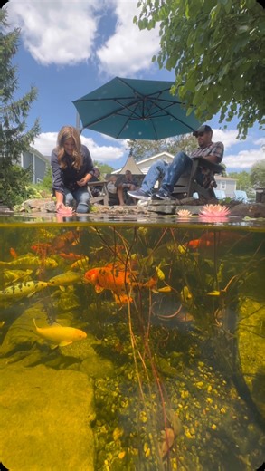 ✨ A peaceful moment ✨ Thank you @gregwittstockthepondguy for this unique view! | Garden Answer