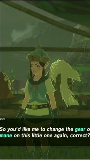 How to Change You're Horse's Armor | The Legend of Zelda Breath of the Wild