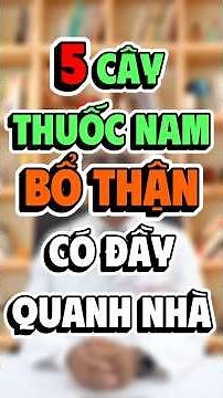 5 CÂY THUỐC NAM BỔ THẬN CÓ ĐẦY QUANH NHÀ – NHIỀU NGƯỜI THẤY MÀ CHƯA BIẾT DÙNG | Tuấn Thầy Thuốc