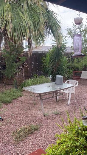 What’s the weather like in your area? ⛈ Jonathan Camp shared this video of rain in the Mesa area this morning - and storm chances will only continue to ramp up across the state! #abc15 #rain #mesa #storm #arizona