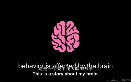 ADHD患者（成年人多动症）自述——TED演讲