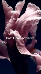 Verfijn je dagelijkse routine met No. 11 Violet Muse essentials. Voor Home & Body. | Marie-Stella-Maris