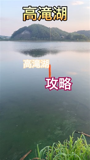 釣果が続くルアー、見つけました。#バス釣り #高滝湖バス釣り #陸釣り #おかっぱり #fishing #ヤマセンコー#ゲーリーヤマモト