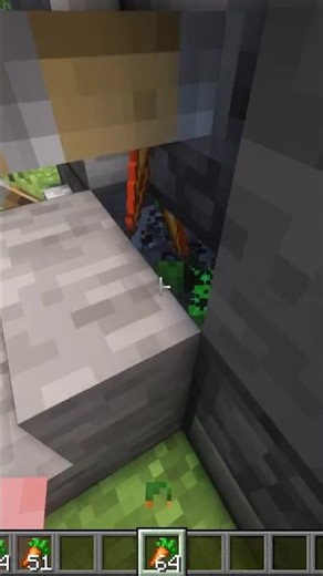 Minecraft Crop Farm #shorts #minecraft