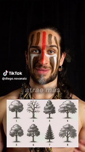 Test del Árbol de Koch: Descubre tu Personalidad